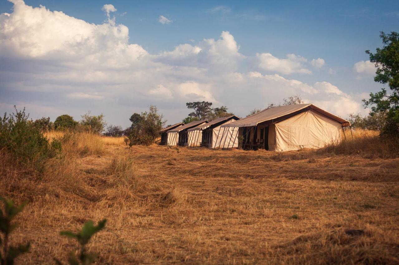 Gnu Mara River Camp Serengeti Zewnętrze zdjęcie